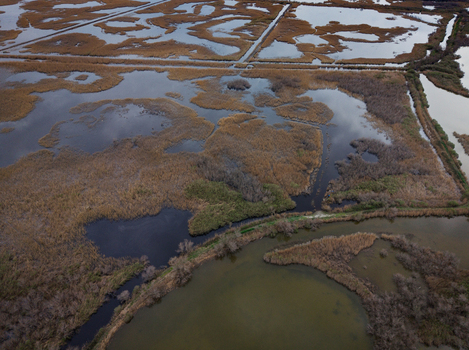 Aerial view of Scamandre Regional Nature Reserve featuring marshland with intricate water channels golden reeds and reflective ponds Arles Provence Alpes Cote d Azur France. Aerial view of Scamandre Regional Nature Reserve featuring marshland with intricate water channels golden reeds and reflective ponds Arles Provence Alpes Cote d Azur France.