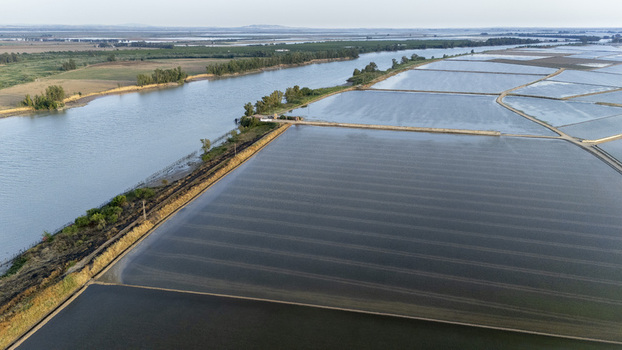 Aerial view of flooded rice paddies and the Guadalquivir river at Isla Minima with agricultural fields stretching towards the horizon under a clear sky Sevilla Andalucia Spain. Aerial view of flooded rice paddies and the Guadalquivir river at Isla Minima with agricultural fields stretching towards the horizon under a clear sky Sevilla Andalucia Spain.