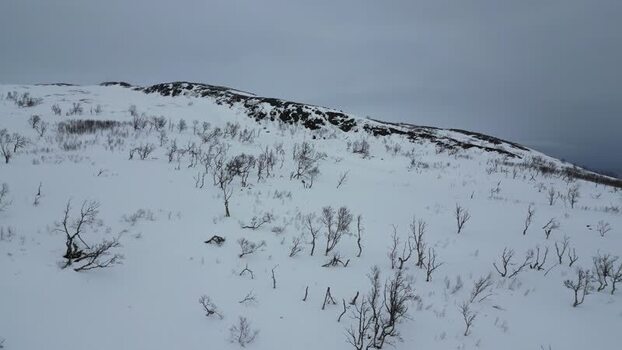 Aerial view of snowy Kvaloya mountain with birch trees Norway.