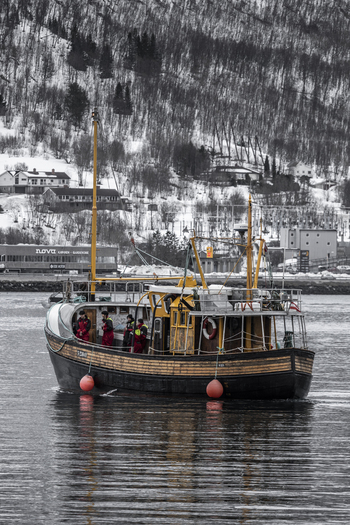 Tromso Norway 11 March 2026 View of a traditional wooden boat with people on board navigating the cold waters against a backdrop of snow covered hills and bare trees. Tromso Norway 11 March 2026 View of a traditional wooden boat with people on board navigating the cold waters against a backdrop of snow covered hills and bare trees.