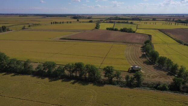 Aerial view of Agogna rice fields and a combine harvester Italy.