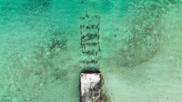 Aerial view of a pier in turquoise water in The Bahamas.