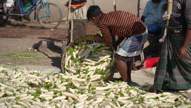 View of a man emptying a basket of radishes in Bogura Bangladesh. View of a man emptying a basket of radishes in Bogura Bangladesh.