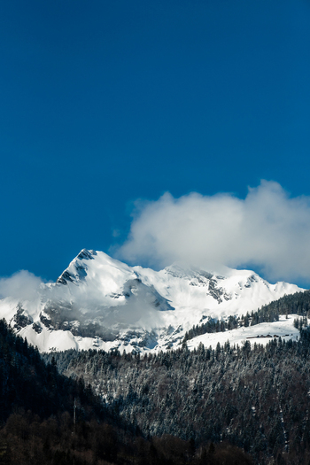 View of snow capped peaks pierce the azure sky their white crowns softened by wisps of clouds as verdant forests cling to the mountainside Train from Lucerne Switzerland. View of snow capped peaks pierce the azure sky their white crowns softened by wisps of clouds as verdant forests cling to the mountainside Train from Lucerne Switzerland.