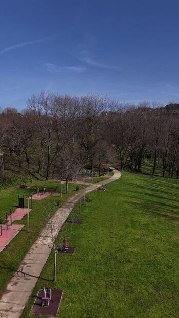 Aerial view of park with trees Guimaraes Portugal.