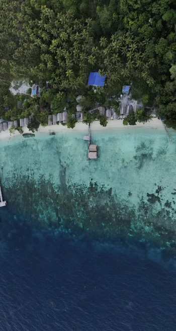 Aerial view of Raja Ampat Regency featuring wooden bungalows nestled among lush palm trees along a white sand beach with turquoise waters and coral reefs in Southwest Papua Indonesia.