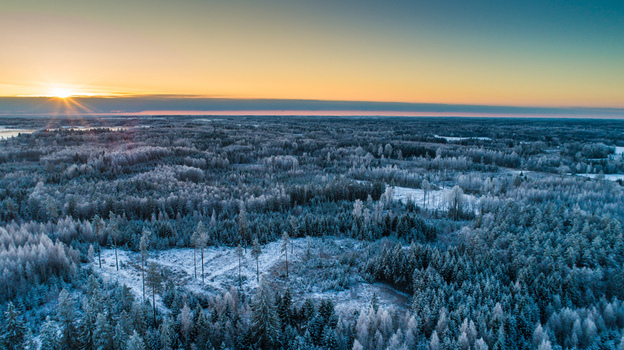Aerial view of a vast snow covered forest landscape with frosted trees illuminated by the golden light of the sunrise in Latvia. Aerial view of a vast snow covered forest landscape with frosted trees illuminated by the golden light of the sunrise in Latvia.