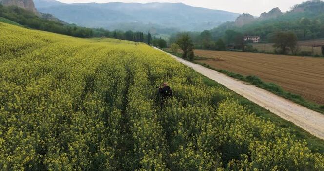 Aerial view of Balze del Valdarno and yellow flower fields Italy. Aerial view of Balze del Valdarno and yellow flower fields Italy.