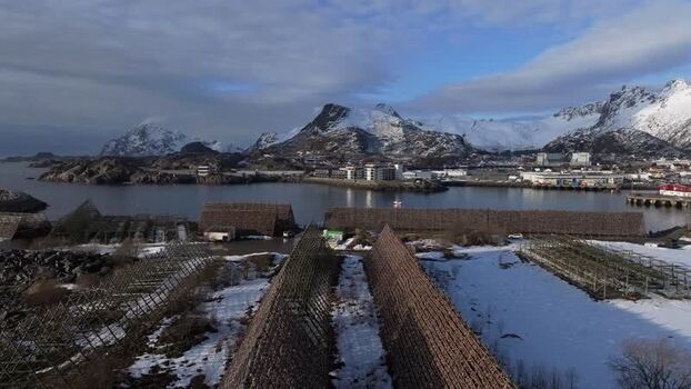 Aerial view of Lofoten fish drying racks in Vagan Norway.