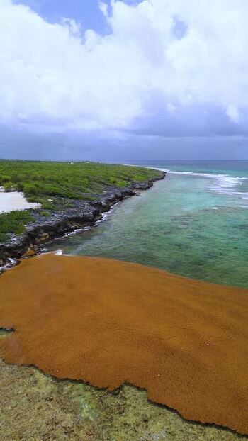Aerial view of Grand Cayman coastline Cayman Islands. Aerial view of Grand Cayman coastline Cayman Islands.
