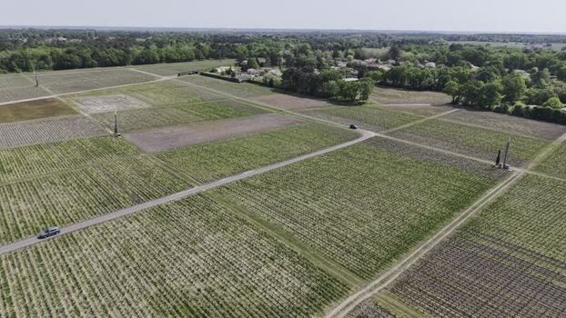 Aerial view of Domaine de Chevalier vineyards in Leognan France. Aerial view of Domaine de Chevalier vineyards in Leognan France.