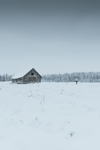View of a person walking through the snow covered landscape of the Pohja Korvemaa Nature Reserve with a rustic wooden barn and pine forest in Harju County Estonia. View of a person walking through the snow covered landscape of the Pohja Korvemaa Nature Reserve with a rustic wooden barn and pine forest in Harju County Estonia.