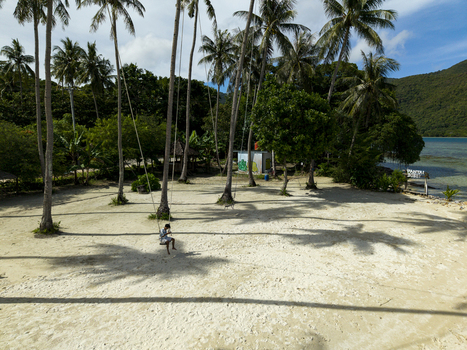 Aerial view of a solitary figure on a rope swing beneath towering palms casting long shadows on the ivory sands of Bobby Beach Karimunjawa Jawa Tengah Indonesia.