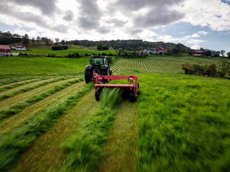 Aerial view of a tractor harvesting grass for silage production in a lush green field with rolling hills and farmhouses in the background in Fister Rogaland Norway. Aerial view of a tractor harvesting grass for silage production in a lush green field with rolling hills and farmhouses in the background in Fister Rogaland Norway.