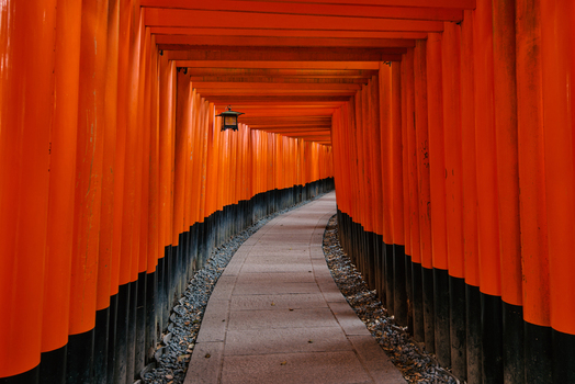 View of the iconic vermilion torii gates at Fushimi Inari Taisha forming a tunnel over a stone path in Kyoto Kyoto Japan.