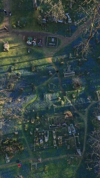 Aerial view of Bernardine Cemetery with blue flowers Lithuania. Aerial view of Bernardine Cemetery with blue flowers Lithuania.