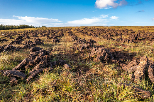Aerial view of An Port showing rows of harvested peat turf drying on the grassy bogland under a clear blue sky in Ardara County Donegal Ireland. Aerial view of An Port showing rows of harvested peat turf drying on the grassy bogland under a clear blue sky in Ardara County Donegal Ireland.