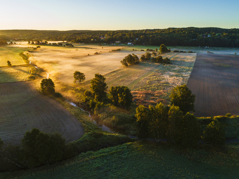 Aerial view of a winding stream flowing through rural agricultural fields with scattered trees and morning mist during golden hour Hallesaker Halland County Sweden. Aerial view of a winding stream flowing through rural agricultural fields with scattered trees and morning mist during golden hour Hallesaker Halland County Sweden.