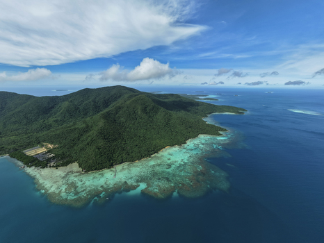 Aerial view of the island s lush greenery meeting the turquoise sea a vibrant contrast under a vast clear sky Turtle Conservation Karimunjawa Central Java Indonesia.