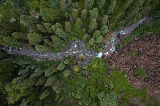 Aerial view of a Sneffels Creek mountain stream flowing through dense coniferous forest and rocky terrain in Yankee Boy Basin near Mt. Sneffels in Ouray Colorado United States.