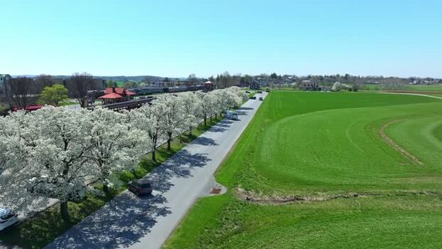 Aerial view of cherry blossoms in Strasburg United States. Aerial view of cherry blossoms in Strasburg United States.