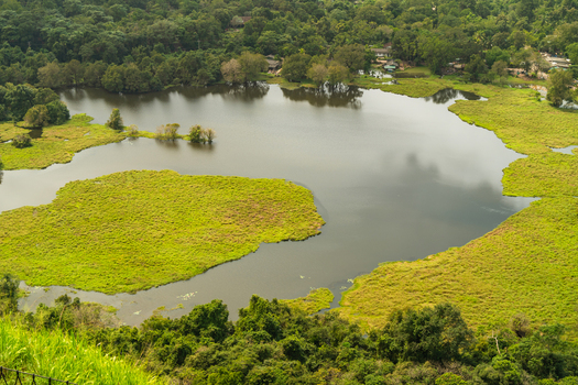 View of a calm lake surrounded by lush tropical vegetation and dense green forests in Sigiriya Central Province Sri Lanka. View of a calm lake surrounded by lush tropical vegetation and dense green forests in Sigiriya Central Province Sri Lanka.