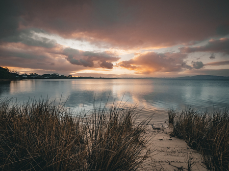View of the calm waters of Oyster Harbour at sunset with tall grasses in the foreground and a dramatic cloudy sky in Little Grove Western Australia Australia. View of the calm waters of Oyster Harbour at sunset with tall grasses in the foreground and a dramatic cloudy sky in Little Grove Western Australia Australia.
