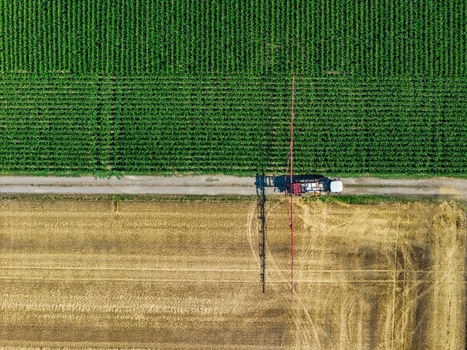 Aerial view of a tractor with a long boom sprayer working between a lush green corn field and a harvested golden field in Hombourg Grand Est France. Aerial view of a tractor with a long boom sprayer working between a lush green corn field and a harvested golden field in Hombourg Grand Est France.