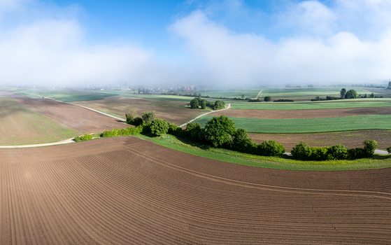 Aerial view of agricultural fields and a line of trees with a village shrouded in morning mist in Grossaffoltern Canton of Bern Switzerland. Aerial view of agricultural fields and a line of trees with a village shrouded in morning mist in Grossaffoltern Canton of Bern Switzerland.