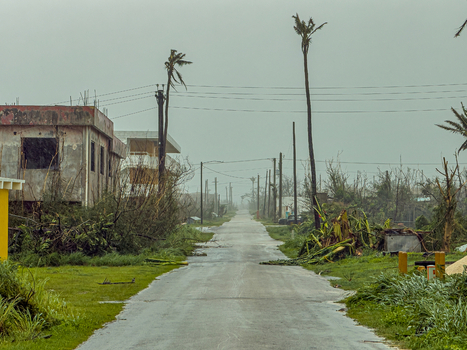 San Jose Tinian Northern Mariana Islands 06 July 2026 View of the aftermath of Super Typhoon Bavi on a road featuring damaged trees debris and overcast stormy weather. San Jose Tinian Northern Mariana Islands 06 July 2026 View of the aftermath of Super Typhoon Bavi on a road featuring damaged trees debris and overcast stormy weather.