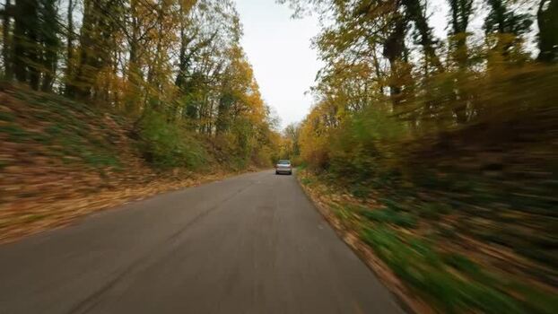 FPV aerial view of road in Fruska Gora Serbia. FPV aerial view of road in Fruska Gora Serbia.