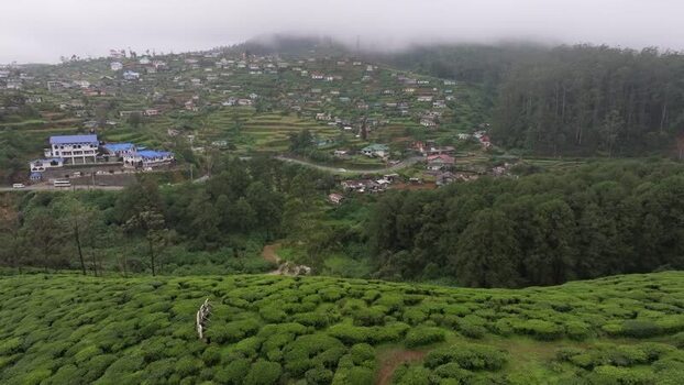 Aerial view of tea plantations in Nuwara Eliya Sri Lanka. Aerial view of tea plantations in Nuwara Eliya Sri Lanka.