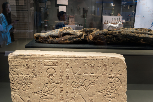 Giza Egypt 16 May 2026 View of a mummified crocodile and an ancient stone slab with hieroglyphs inside the Grand Egyptian Museum.