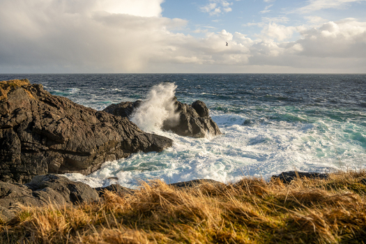 View of crashing waves against rocky cliffs along the rugged coastline with golden grass in the foreground under a dramatic cloudy sky in Leknes Lofoten Norway.