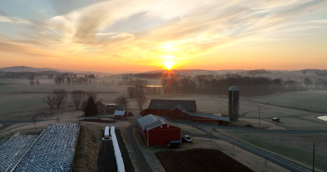Aerial view of a farm with red barns and a silo at sunrise with golden light illuminating the fields in Penryn Pennsylvania United States.