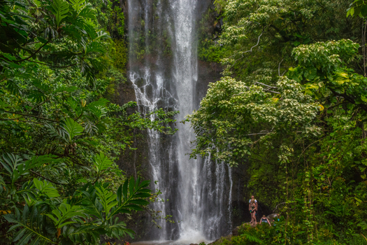 View of a tall waterfall cascading down a lush green cliffside surrounded by dense tropical vegetation with people standing at the base in Maui County Hawaii United States.