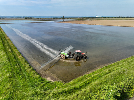 Aerial view of a tractor working in a flooded rice field surrounded by green grass and distant hills in Trino Piedmont Italy.