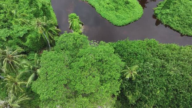 Aerial view of a tropical river winding through lush jungle in Maldives. Aerial view of a tropical river winding through lush jungle in Maldives.