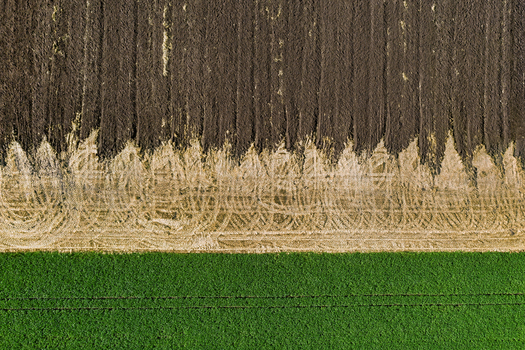 Aerial view of contrasting fields showing dark tilled soil meeting golden stubble and vibrant green crops Chyhyryns kyi district Cherkasy Oblast Ukraine. Aerial view of contrasting fields showing dark tilled soil meeting golden stubble and vibrant green crops Chyhyryns kyi district Cherkasy Oblast Ukraine.