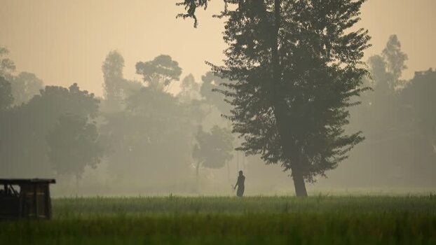 View of a person walking in a foggy field in Bogura Bangladesh. View of a person walking in a foggy field in Bogura Bangladesh.