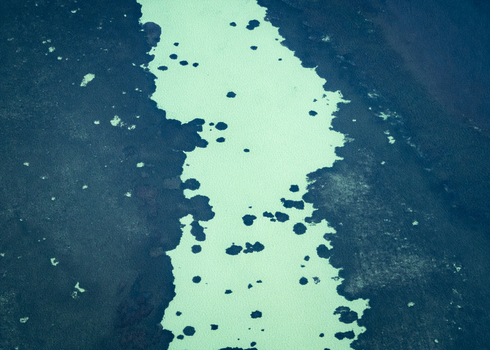 Aerial view of turquoise shallow water and dark coral patches in the ocean of Shire of Shark Bay Western Australia Australia. Aerial view of turquoise shallow water and dark coral patches in the ocean of Shire of Shark Bay Western Australia Australia.