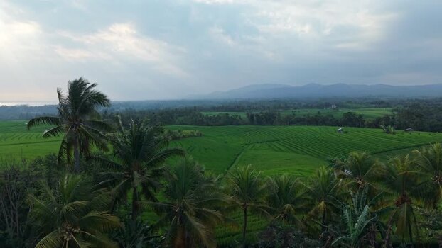 Aerial view of Soka Rice Field in Selemadeg Indonesia.