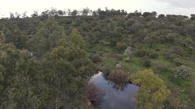Aerial view of a small pond surrounded by lush green trees Portugal. Aerial view of a small pond surrounded by lush green trees Portugal.