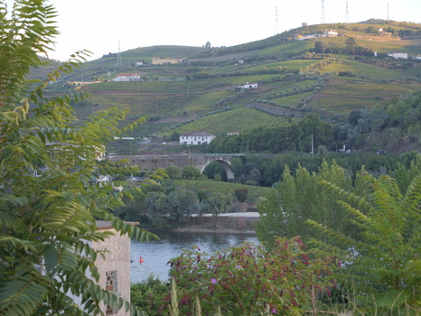 View of the terraced vineyards and stone bridge over the Douro River in the landscape of Peso da Regua Vila Real District Portugal.