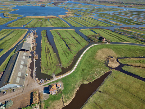 Aerial view of lush green pastures meet the tranquil waters of the wetlands creating a serene mosaic of nature s artistry Wormer Netherlands. Aerial view of lush green pastures meet the tranquil waters of the wetlands creating a serene mosaic of nature s artistry Wormer Netherlands.