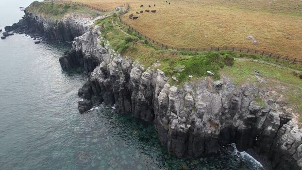 Aerial view of the rugged Suginohara coastline featuring dramatic basalt columns grassy cliffs with grazing cattle and the sea in Karatsu Saga Japan. Aerial view of the rugged Suginohara coastline featuring dramatic basalt columns grassy cliffs with grazing cattle and the sea in Karatsu Saga Japan.