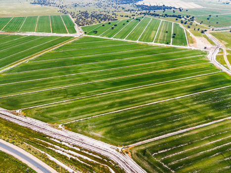 Aerial view of lush green agricultural fields with irrigation channels and rural landscape in Moulamein New South Wales Australia. Aerial view of lush green agricultural fields with irrigation channels and rural landscape in Moulamein New South Wales Australia.