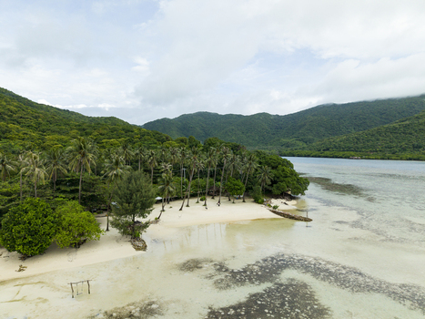 Aerial view of Bobby Beach where the white sand meets the lush green forest contrasting with the turquoise water Karimunjawa Central Java Indonesia.