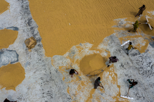 Brahmanbaria Bangladesh 15 August 2021 Aerial view of workers spreading and drying golden rice grains on a large concrete surface.