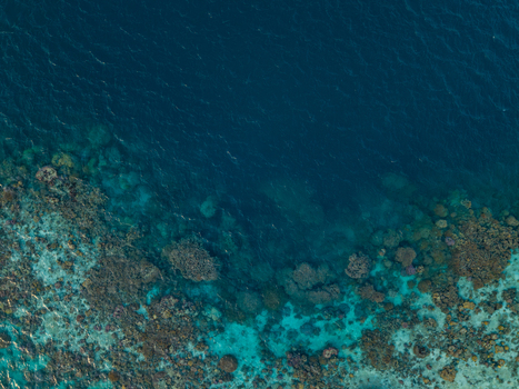 Aerial view of Karimunjawa coral reefs with vibrant underwater formations and deep blue sea in Karimunjawa Central Java Indonesia. Aerial view of Karimunjawa coral reefs with vibrant underwater formations and deep blue sea in Karimunjawa Central Java Indonesia.